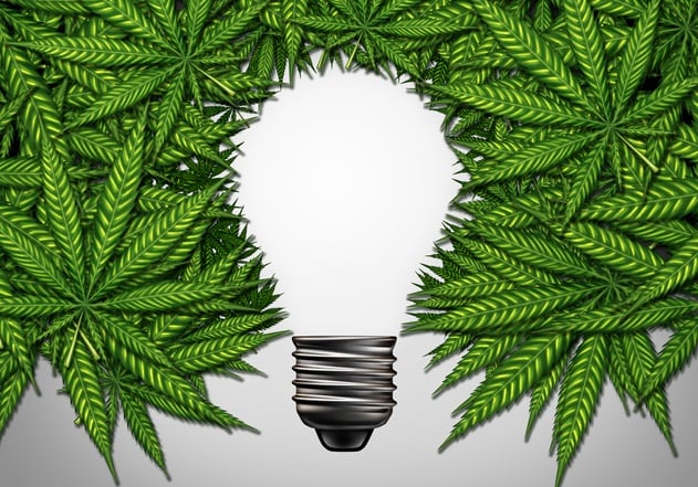 Launching-a-cannabis-beverage-brand-The-Drinkable-Company-shares-its-top-tips.jpg