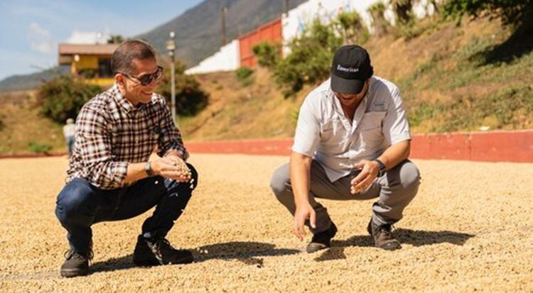 Enveritas-inspecting-drying-green-coffee-on-a-farm-in-Guatemala-Peets.jpg