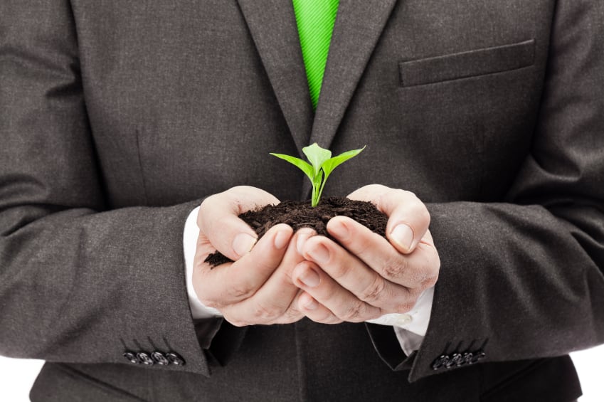sustainability_environment_business_iStock_free.jpg