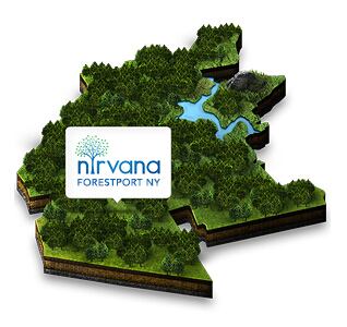 Nirvana-cropped.jpg