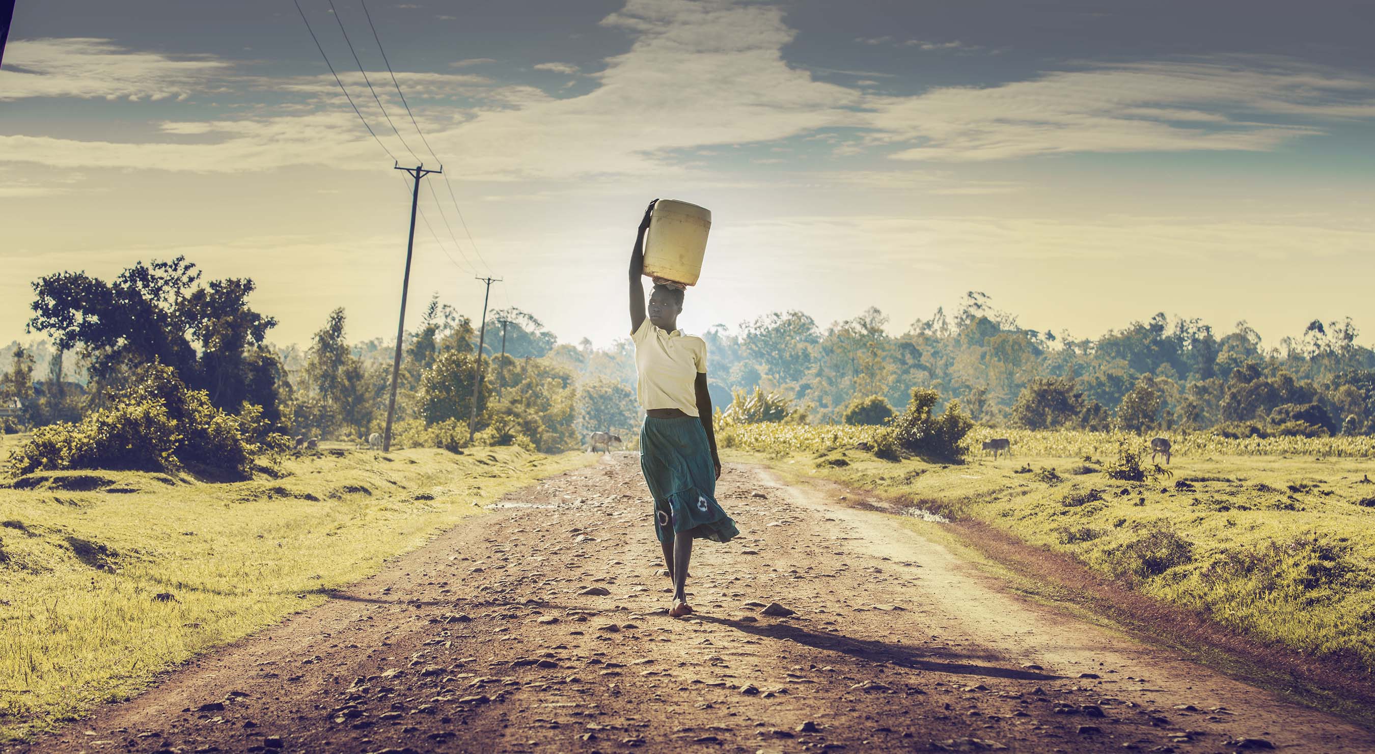 stella-artois-africa.jpg