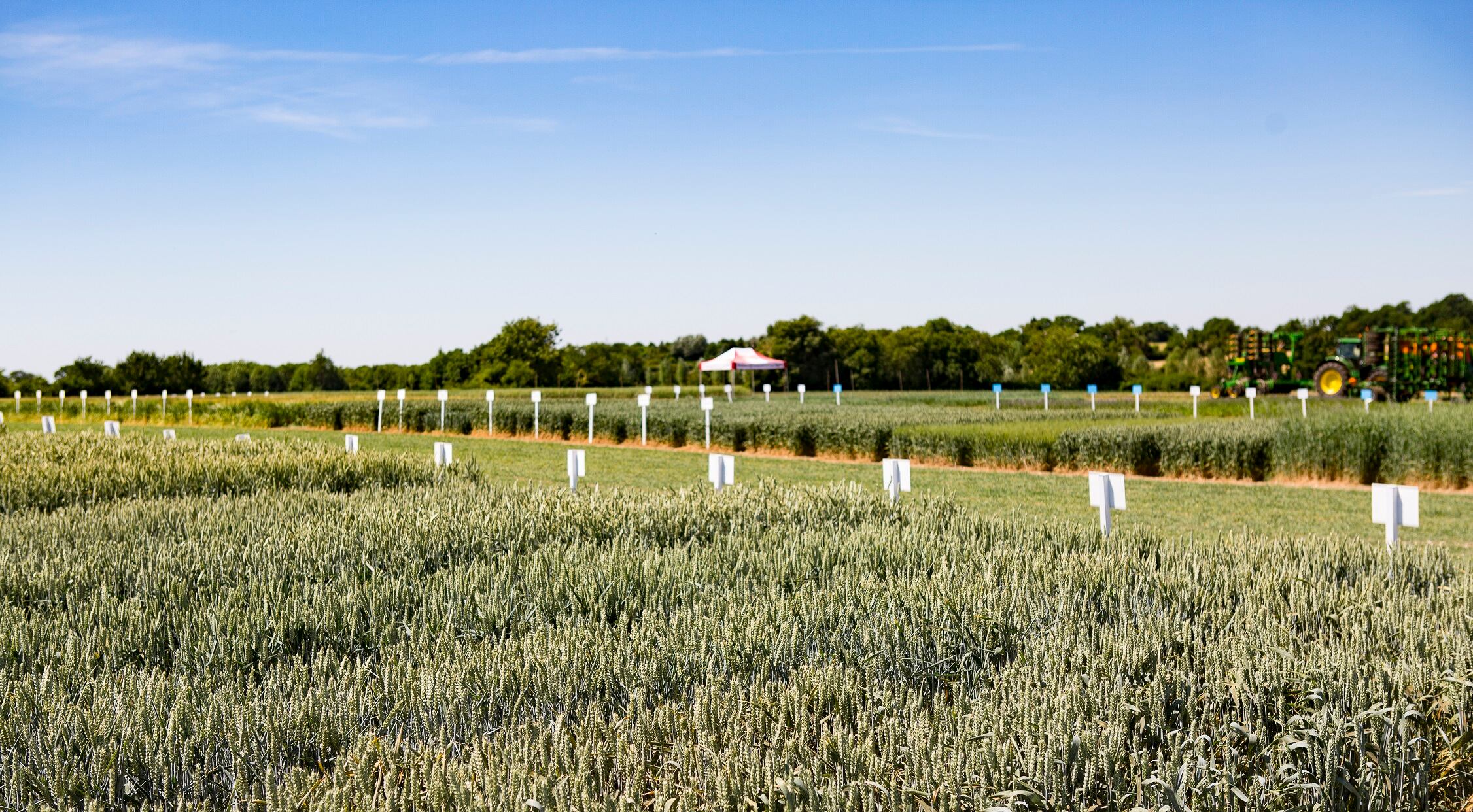 ABinBev-sustainability-agriculture.jpg