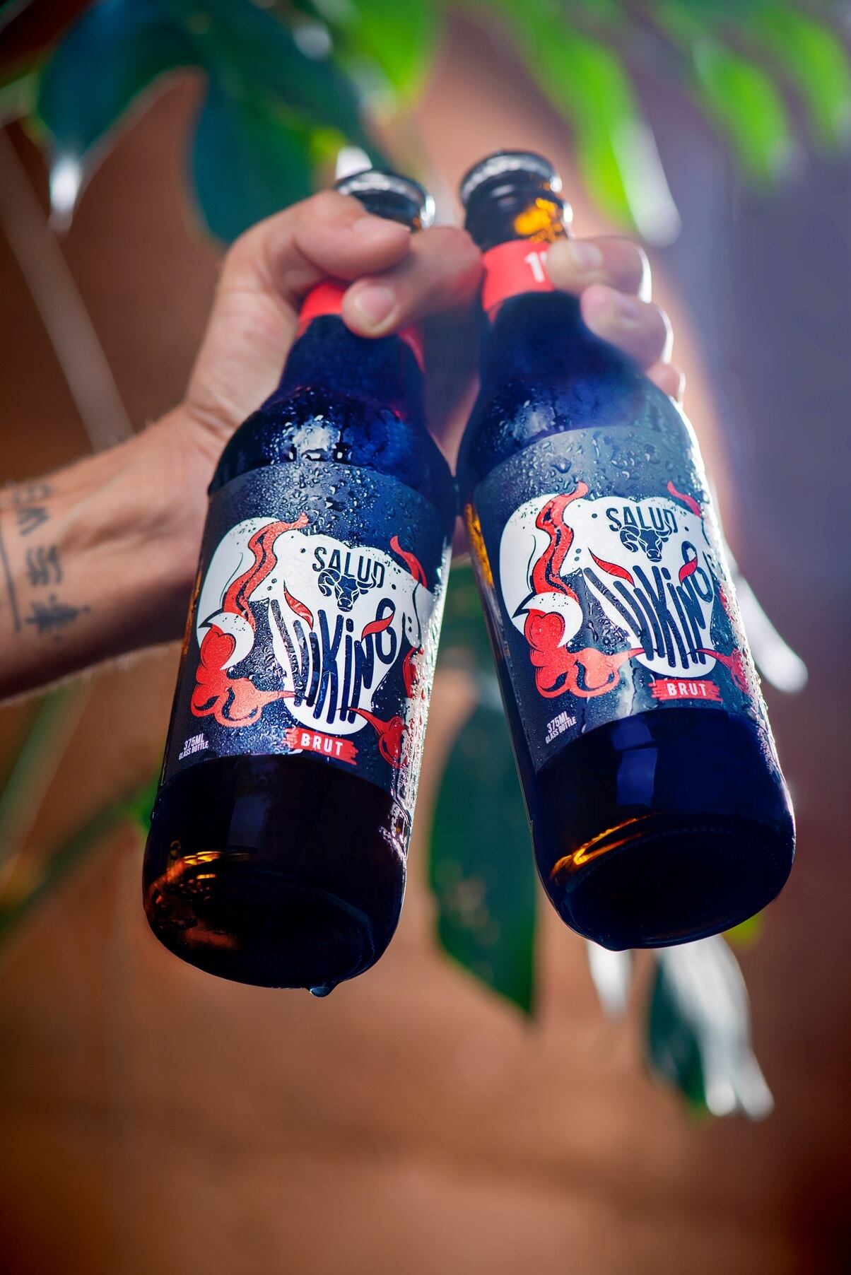 Salud-Viking.jpg