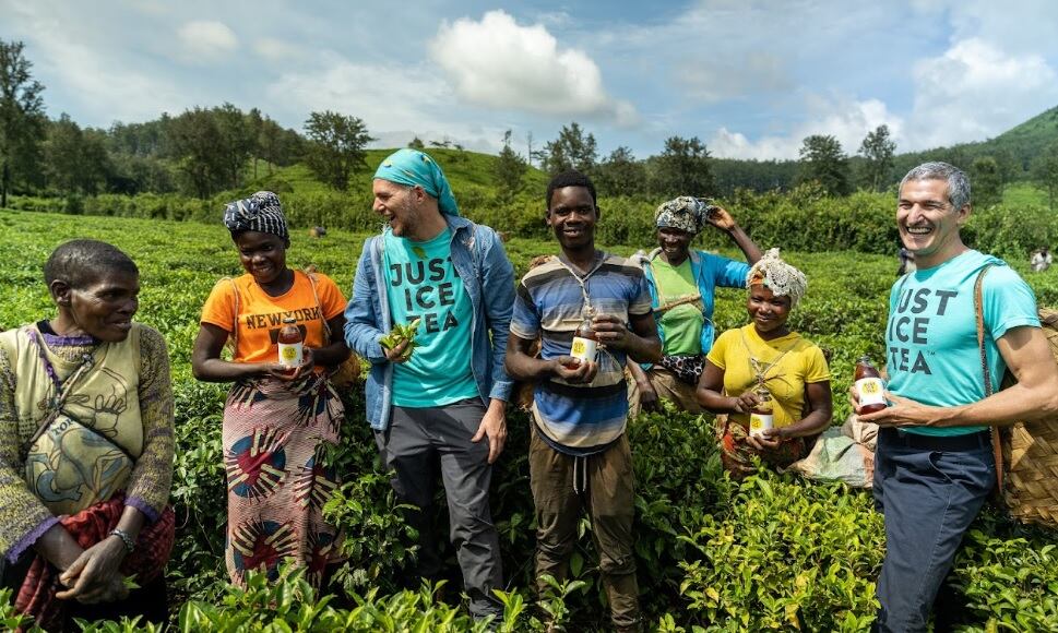 Just Ice Tea Visiting tea producers in Mozambique