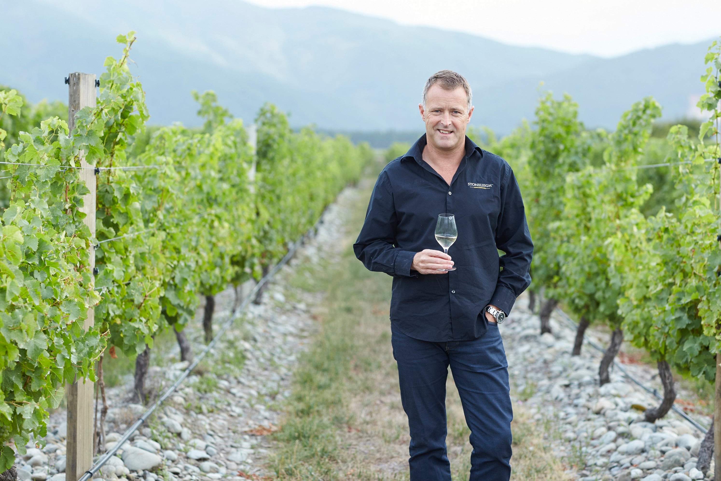 New Zealand winery helps carve out the lower alcohol wine category: ‘Lower ABV is a feature, not a compromise!’