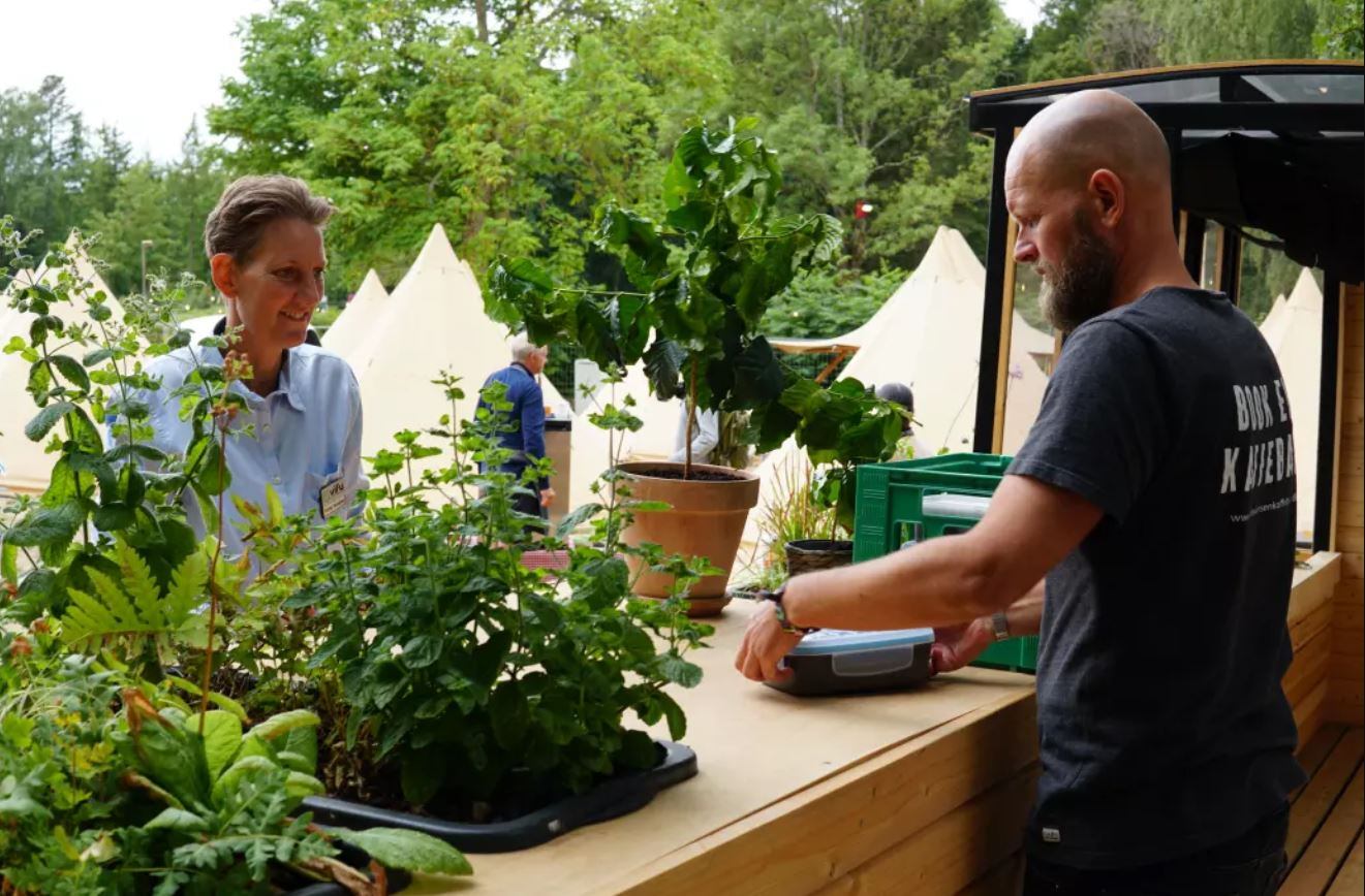 ‘We expect to create new applications’: Denmark’s first coffee farm unlocking the nutritional value of coffee