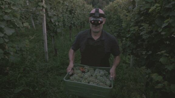 night_harvest.jpg