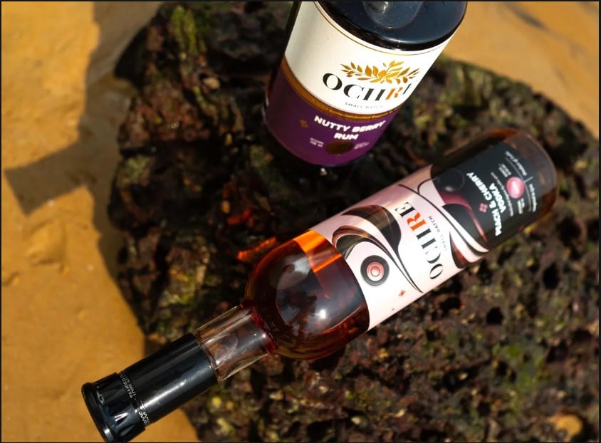 Young, adventurous, and health-conscious: Goa-based Ochre Spirits rides the global cocktail wave with low-calorie gins and vodkas