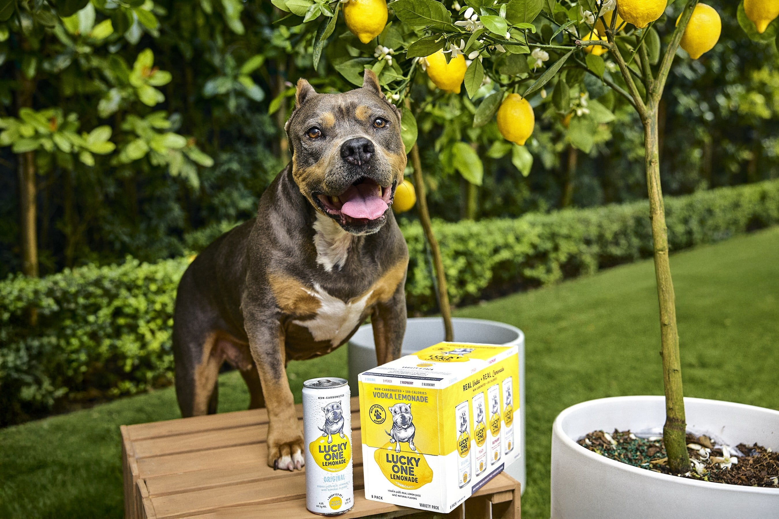 Lucky One Lemonade is non-carbonated, made with real vodka and real lemonade, and comes in four fruit-forward flavors: Original, Peach, Blueberry and Raspberry.