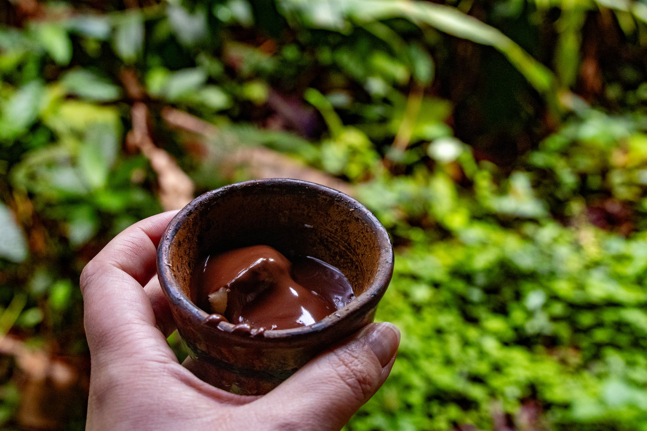 Can nature save cocoa? Industry’s response to a supply crisis