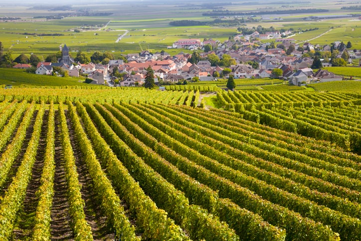 Can alcohol-free wine really win over the French?