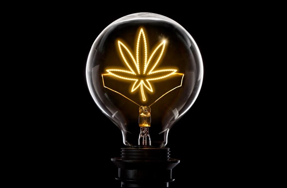 Constellation Brands: ‘The cannabis space is opening up much more rapidly than originally expected’