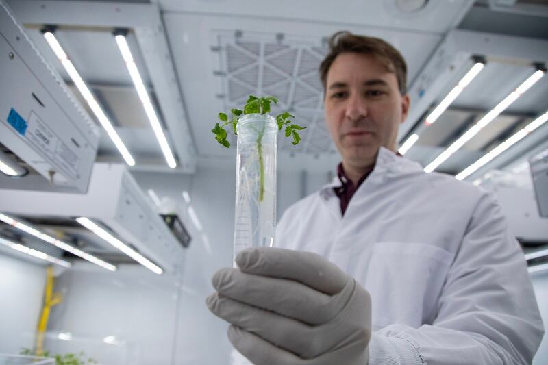 Elo Life Systems unlocks funds to scale production of monk fruit-inspired high-intensity sweetener 