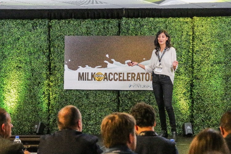 Real California Milk Accelerator finalists: High protein kefir and collagen lattes