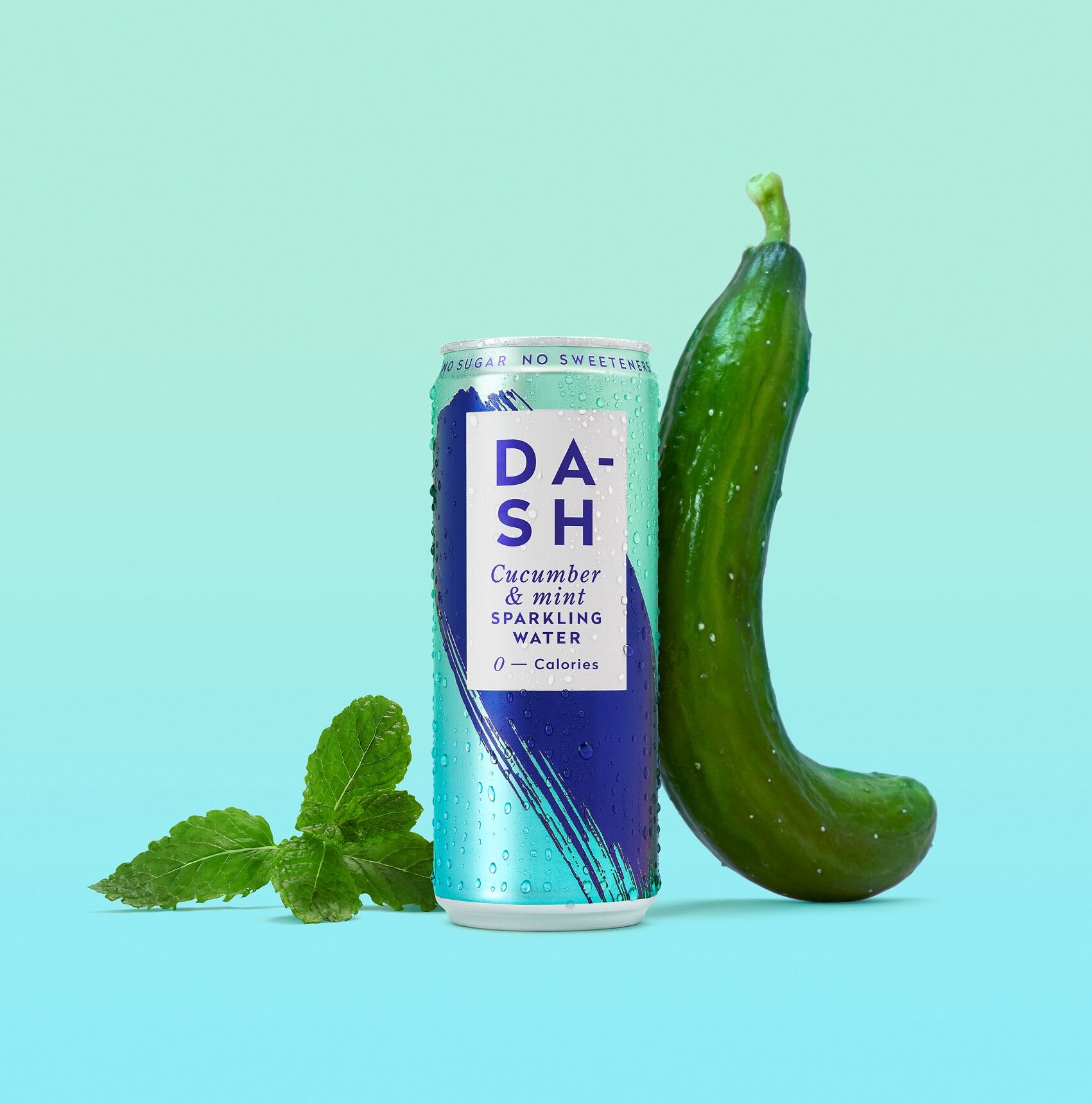 dash.jpg