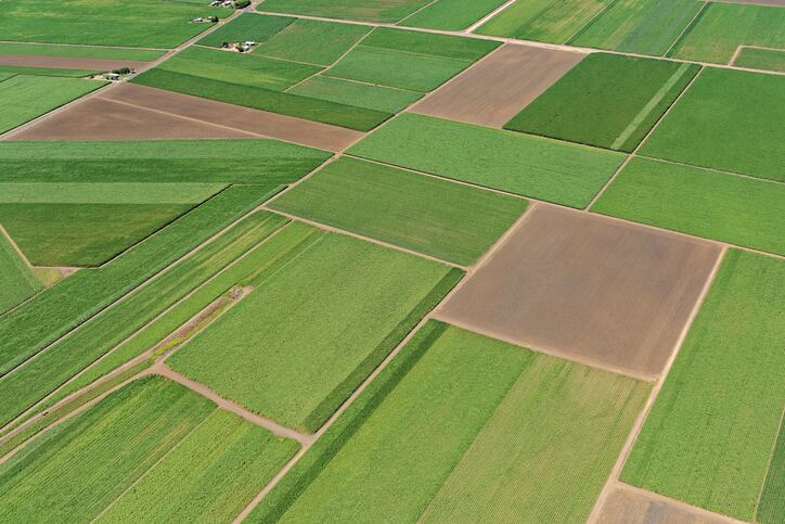sugarcane-getty-aerometrex.jpg