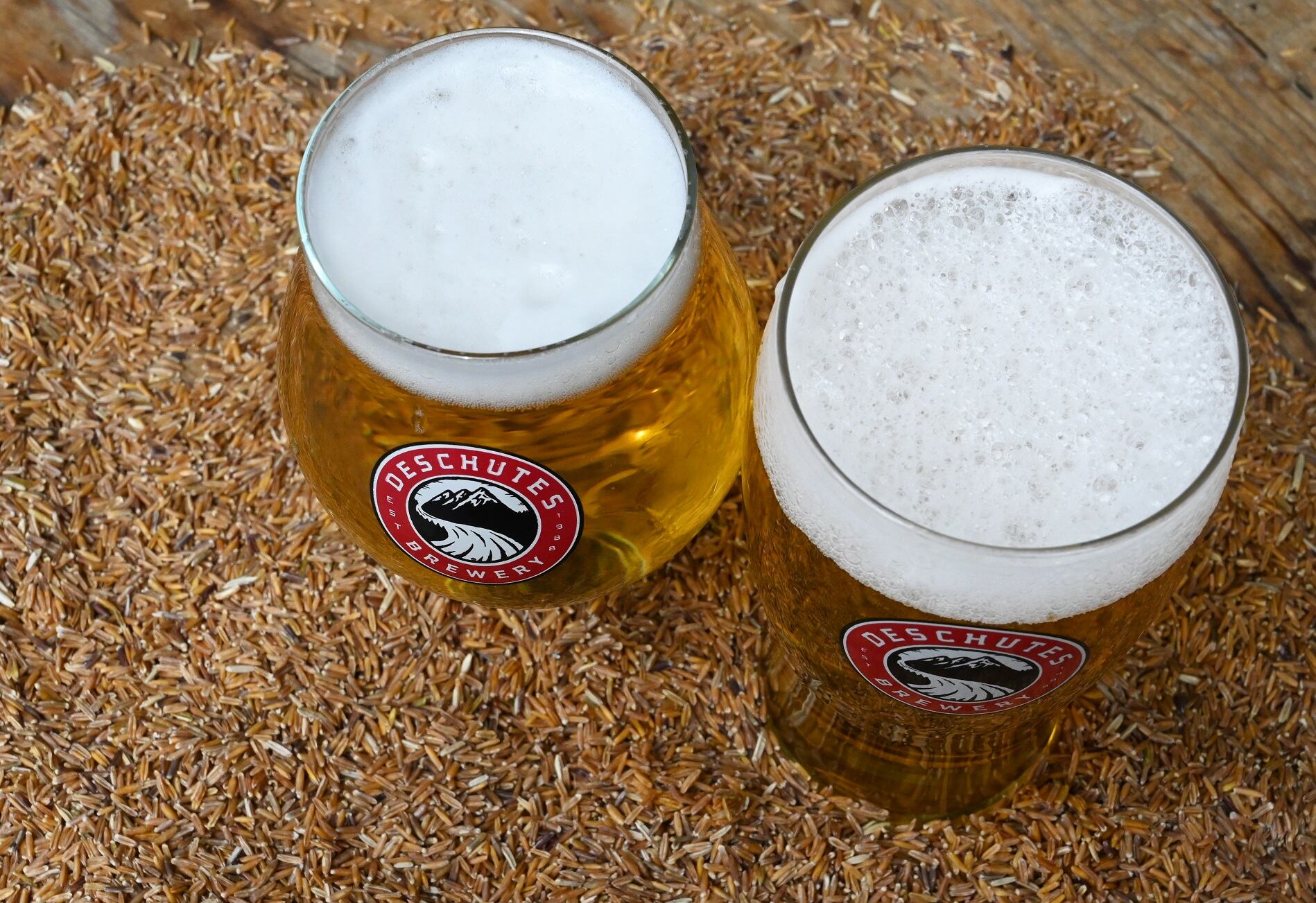 Kernza: The grain with a future brewing in beer