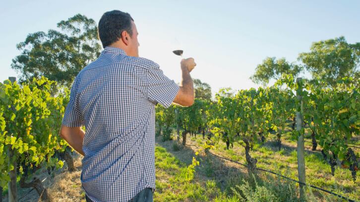 ‘We want to position the Australian wine sector as the largest global producer of NoLo wines’