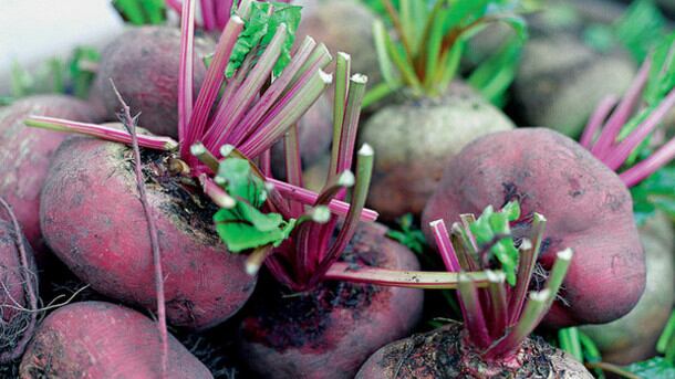 High-blood-pressure-Just-beet-it!-Beetroot-juice-lowers-blood-pressure-in-UK-study_strict_xxl.jpg
