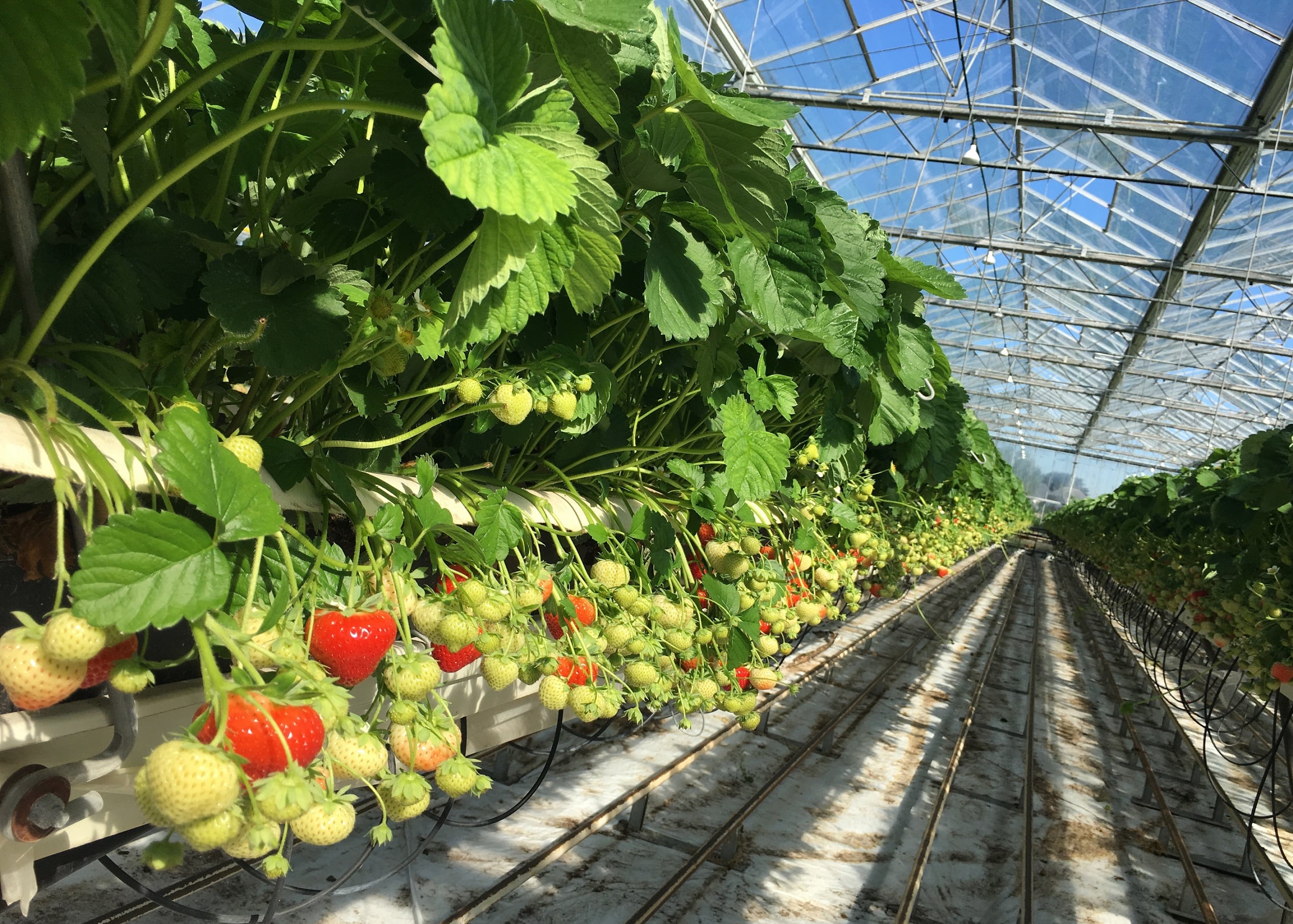 SVZ talks sustainability: ‘Everyone in the F&B industry should think about the next generation’