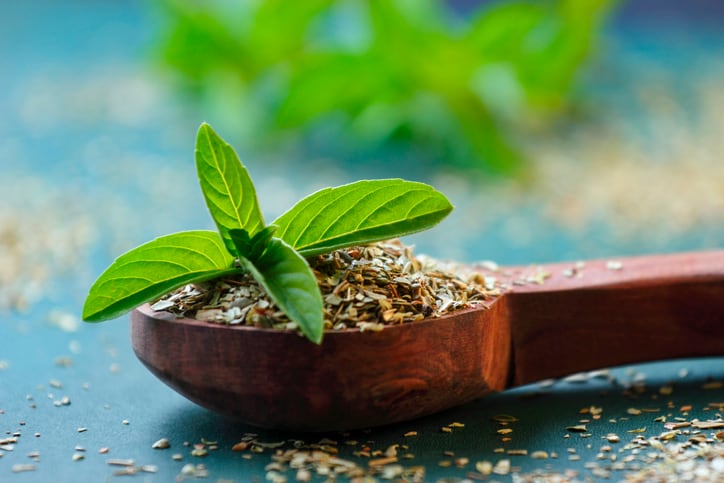 Holy Basil (Tulsi)