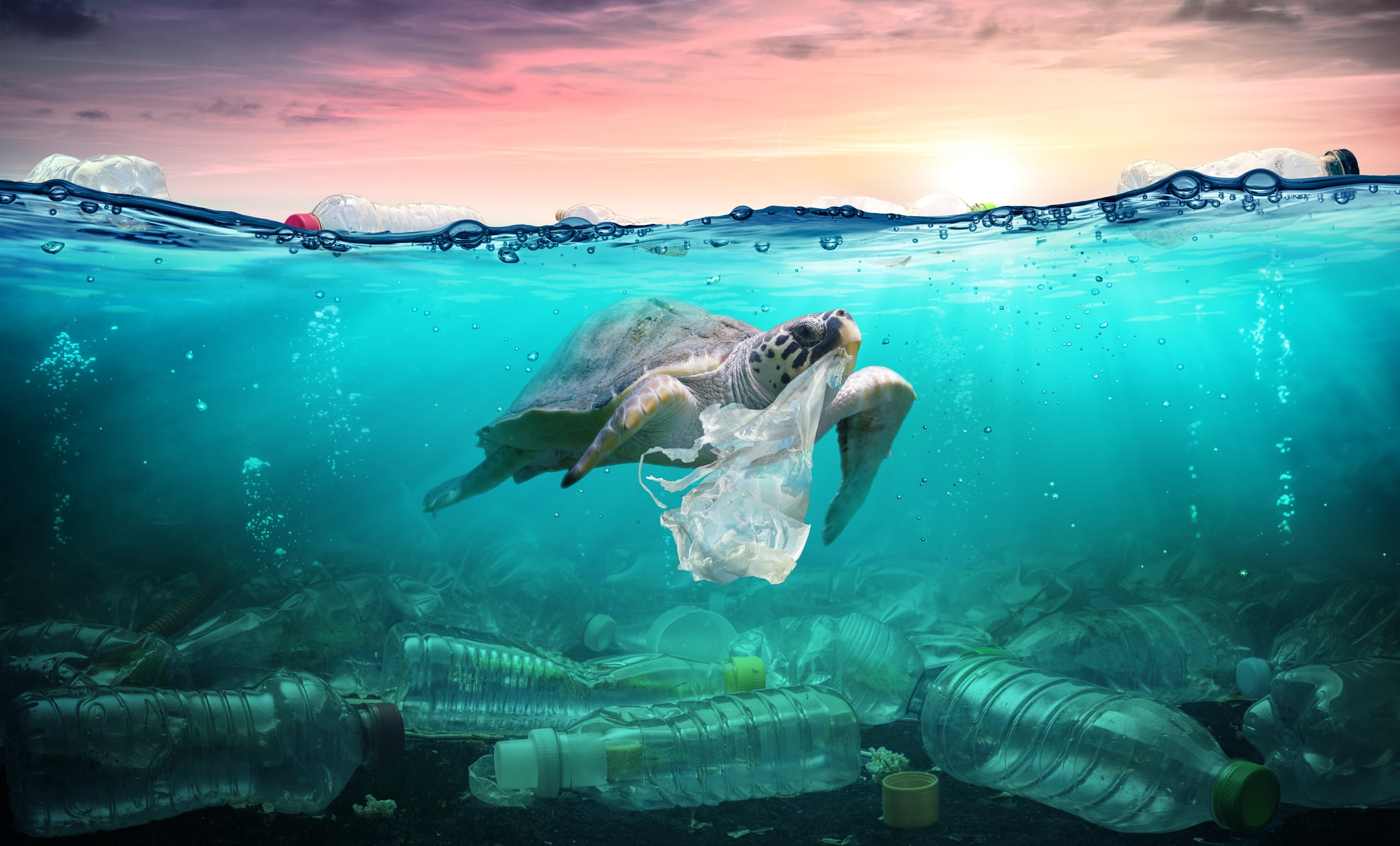 Unilever unveils ambitious plans to cut plastic 50% by 2025: ‘it has its place, but that place is not in the environment’