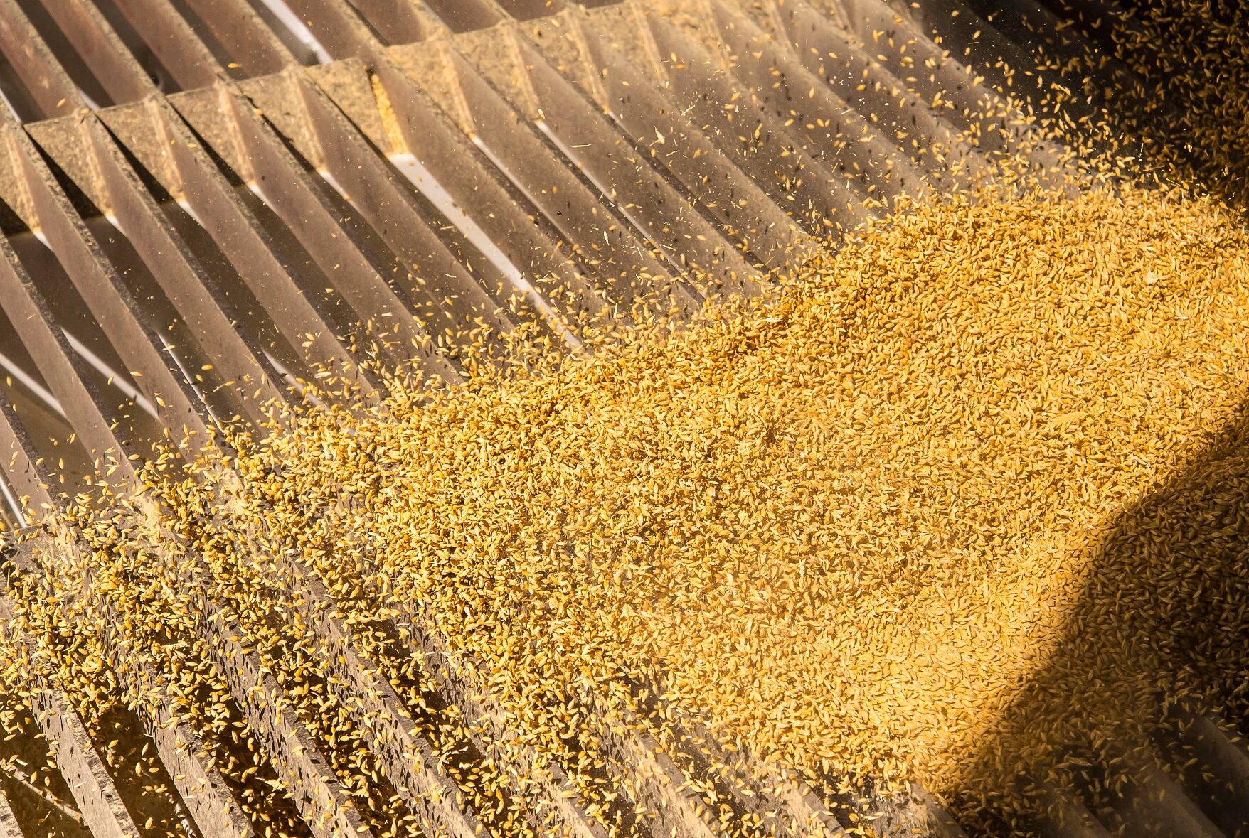 coopers-maltings-inset.jpg