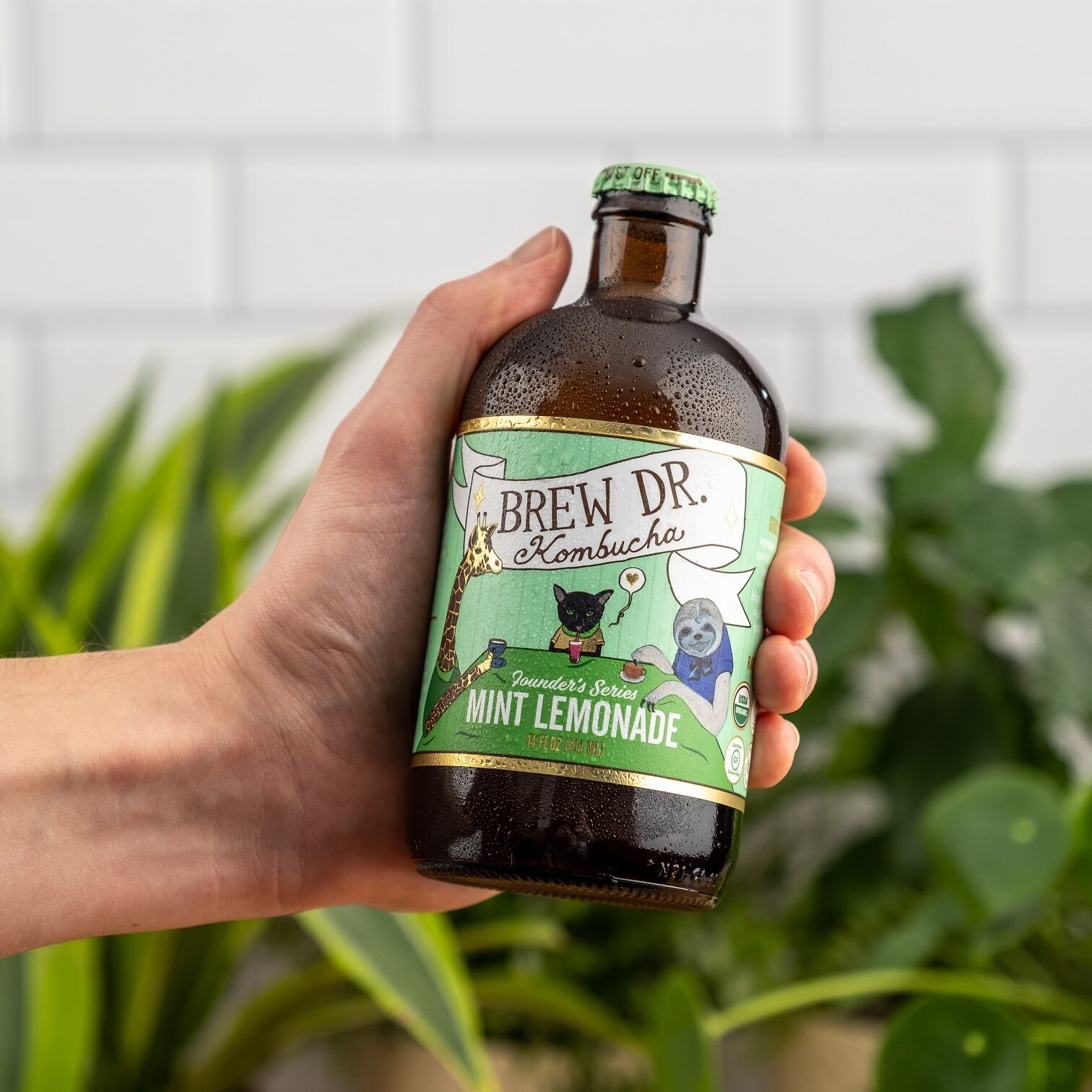 brew-dr-kombucha-inset.jpg