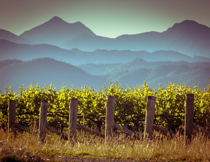 wine-marlborough-new-zealand-getty-creativenature-nl.jpg