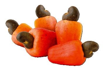 cashew.jpg