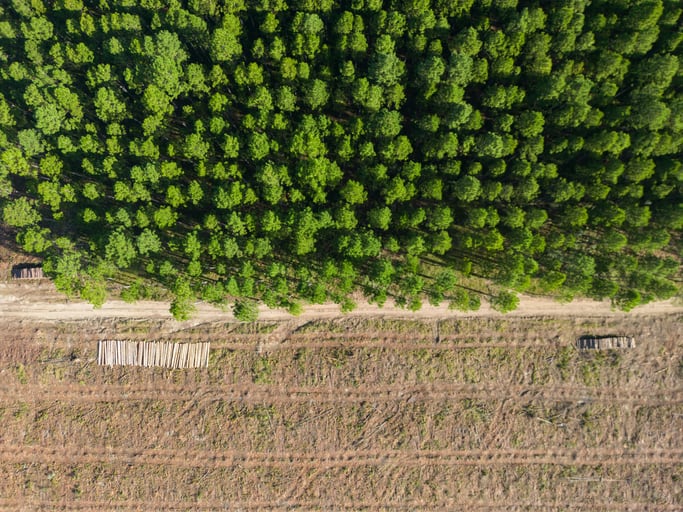 Coffee companies welcome EUDR delay – but ‘time alone is not enough’