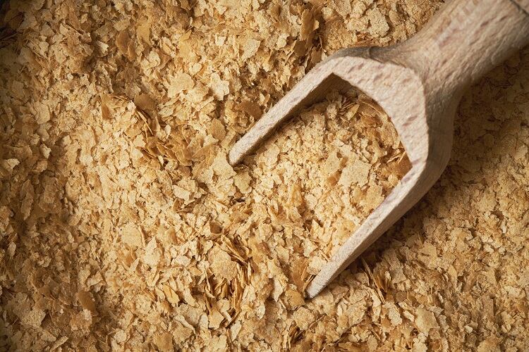 brewers-yeast-Nedim_B.jpg