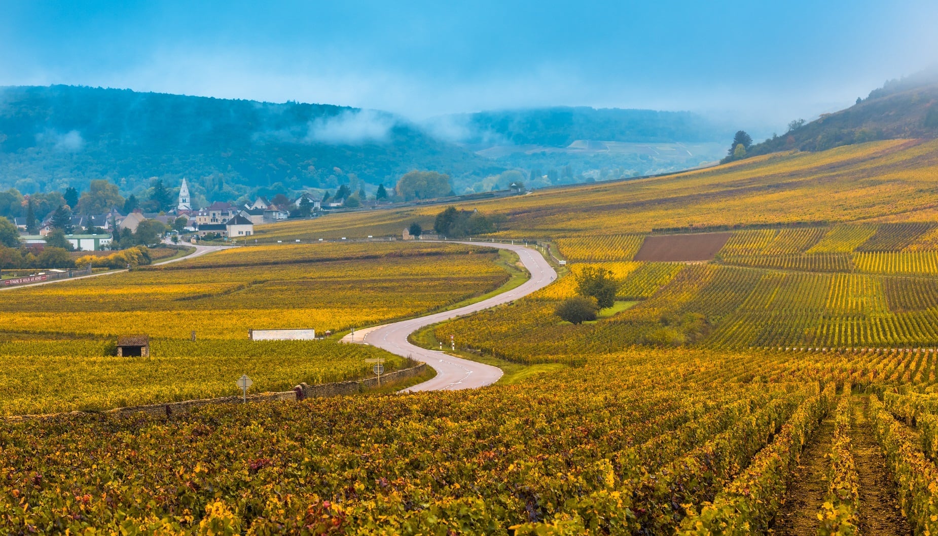 burgundy-wines-getty-javerman3.jpg