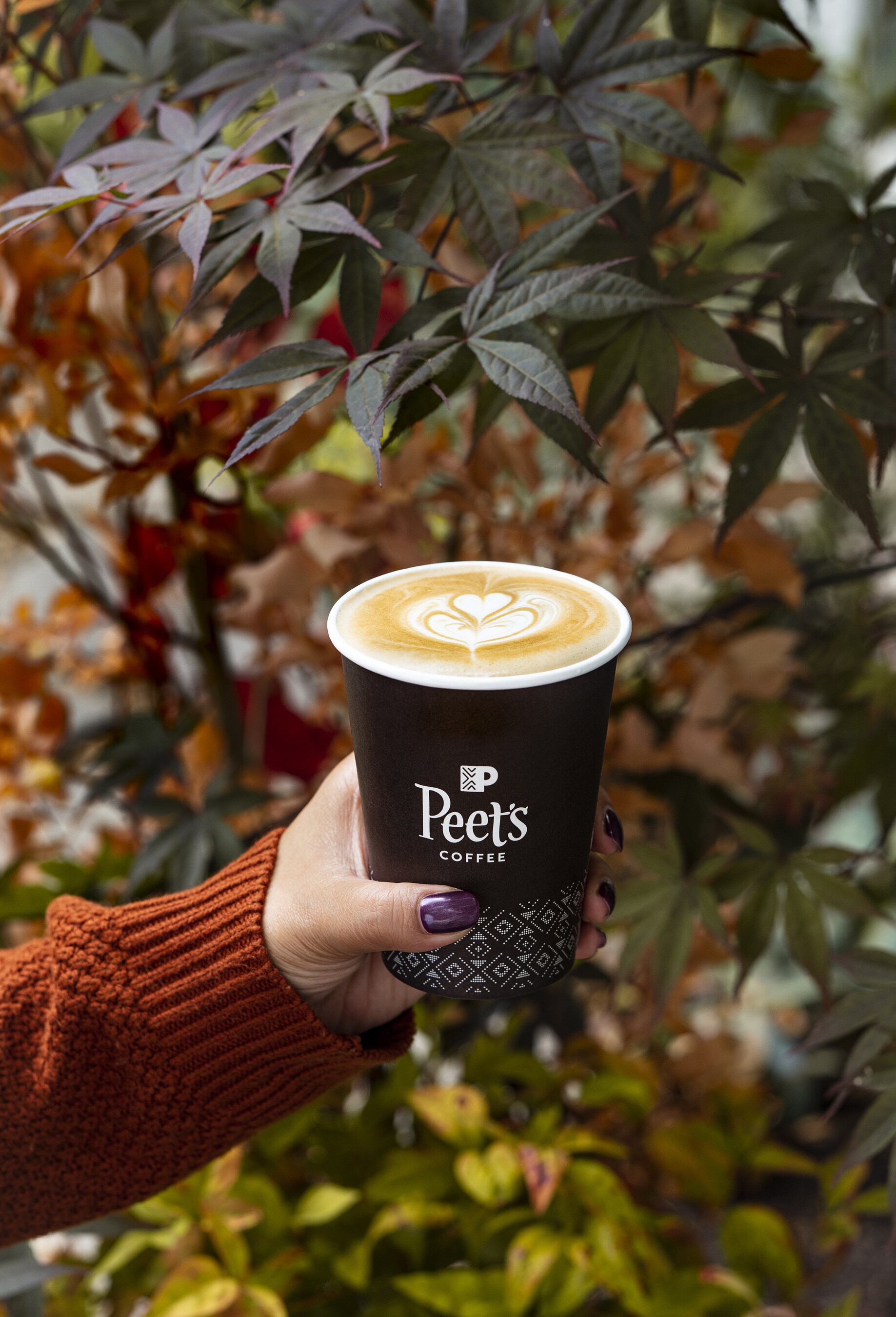Peets_Coffee_Honey_Harvest_Latte.jpg