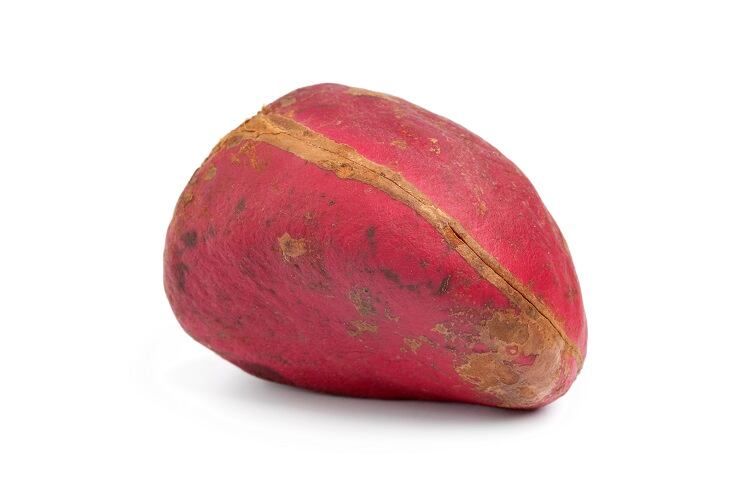 kola-nut-PicturePartners.jpg