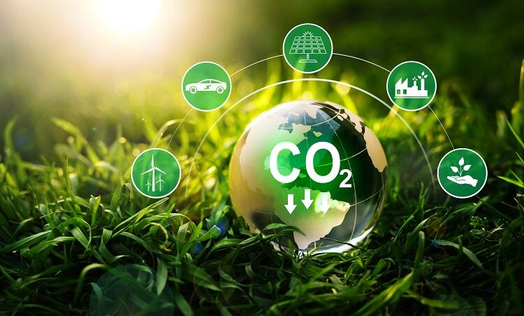 Decarbonising-food-and-drink-What-are-the-easy-wins-for-small-brands.jpg
