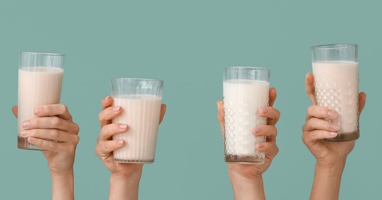 Dairy taste but plant-based? Synergy has the formula