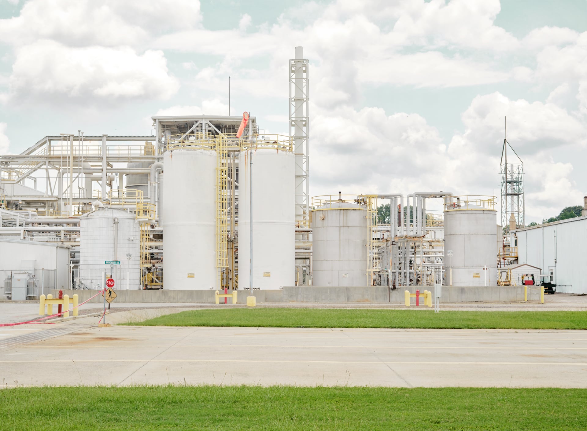 Exclusive: Can biotech break monk fruit’s supply constraints? Manus thinks so