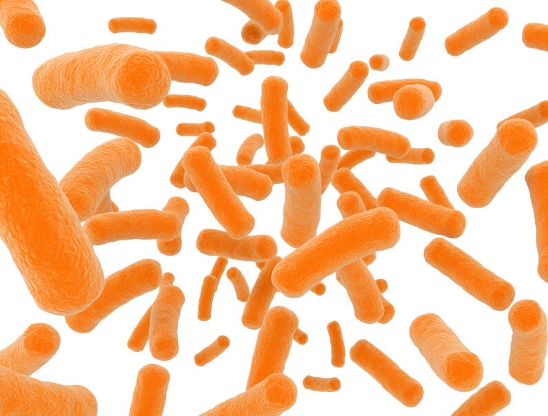 microbiome-probiotics-bacteria.jpg