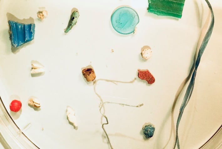 Plastic Soup Foundation & VU University Amsterdam to analyse effects of microplastics