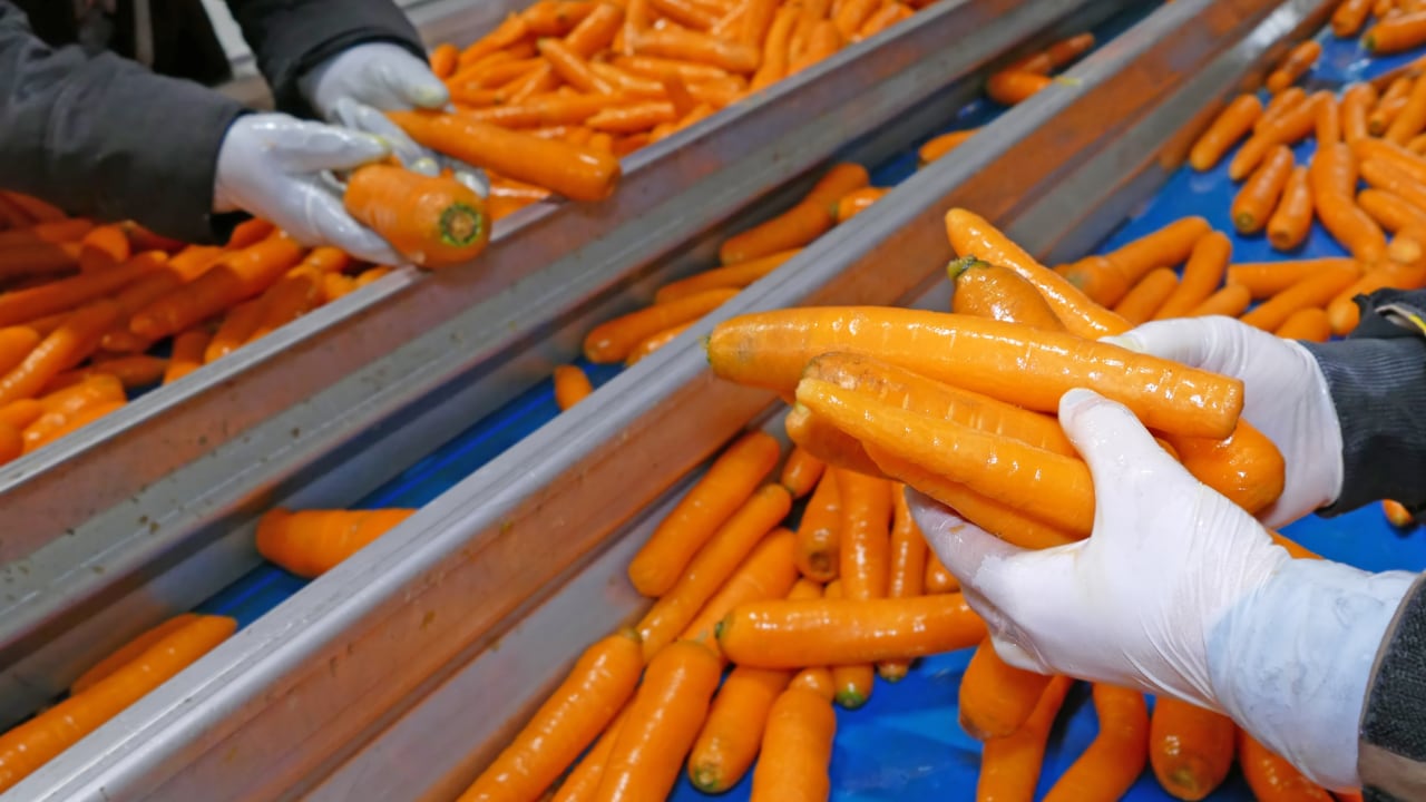 Ingredion acquires upcycled prebiotic fiber amid $3.7 billion Tate & Lyle bid