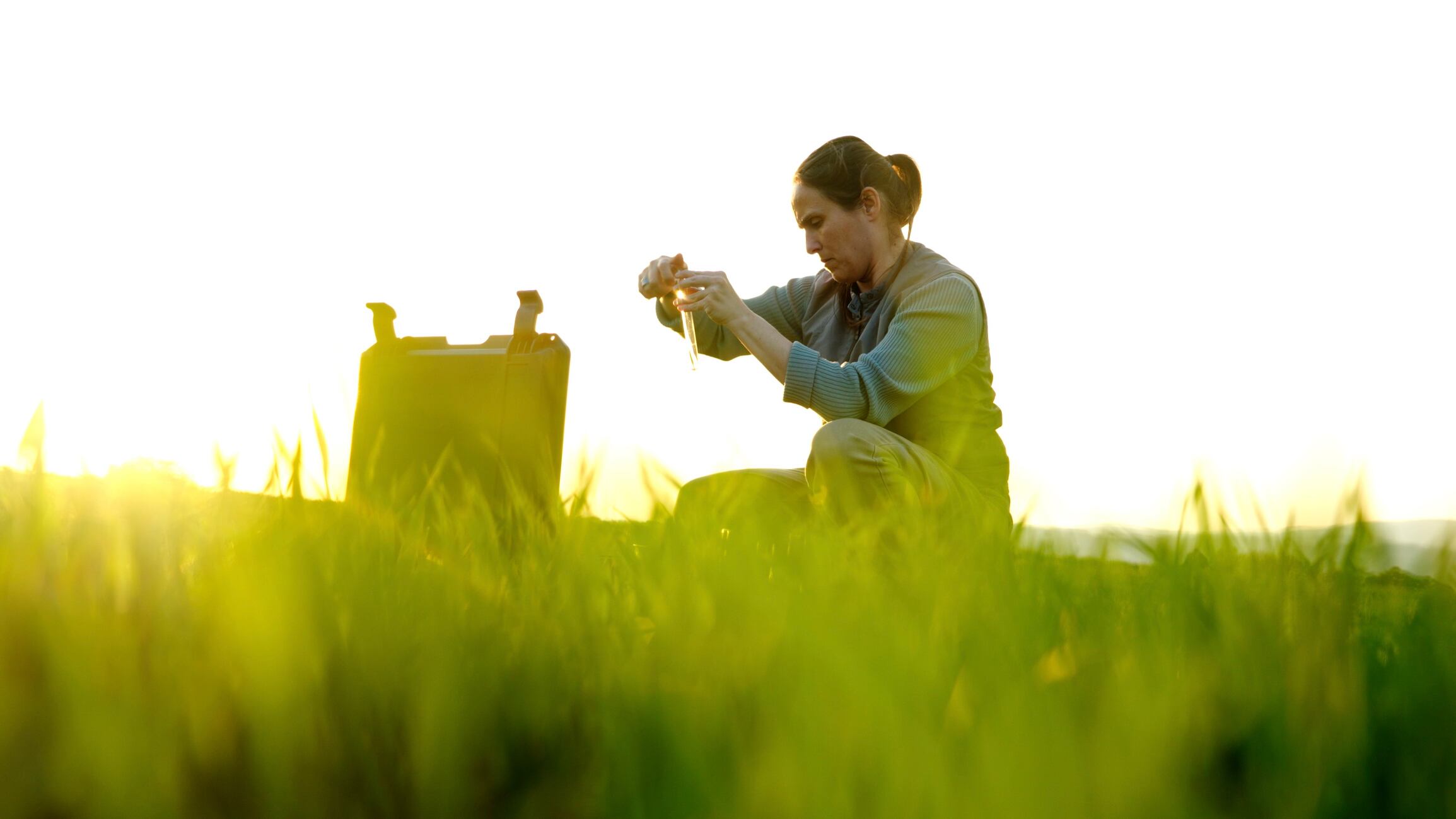 Drinks companies among those signed up to Regenerative Agriculture programme.