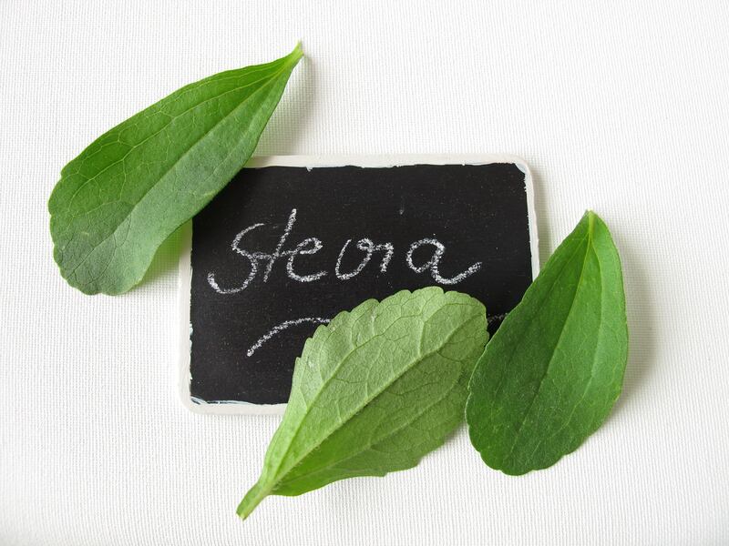 stevia-sweetener-extract-sugar-iStock.com-Heike-Rau.jpg