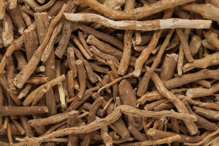 Ashwagandha-istockphoto-ziprashantzi.jpg