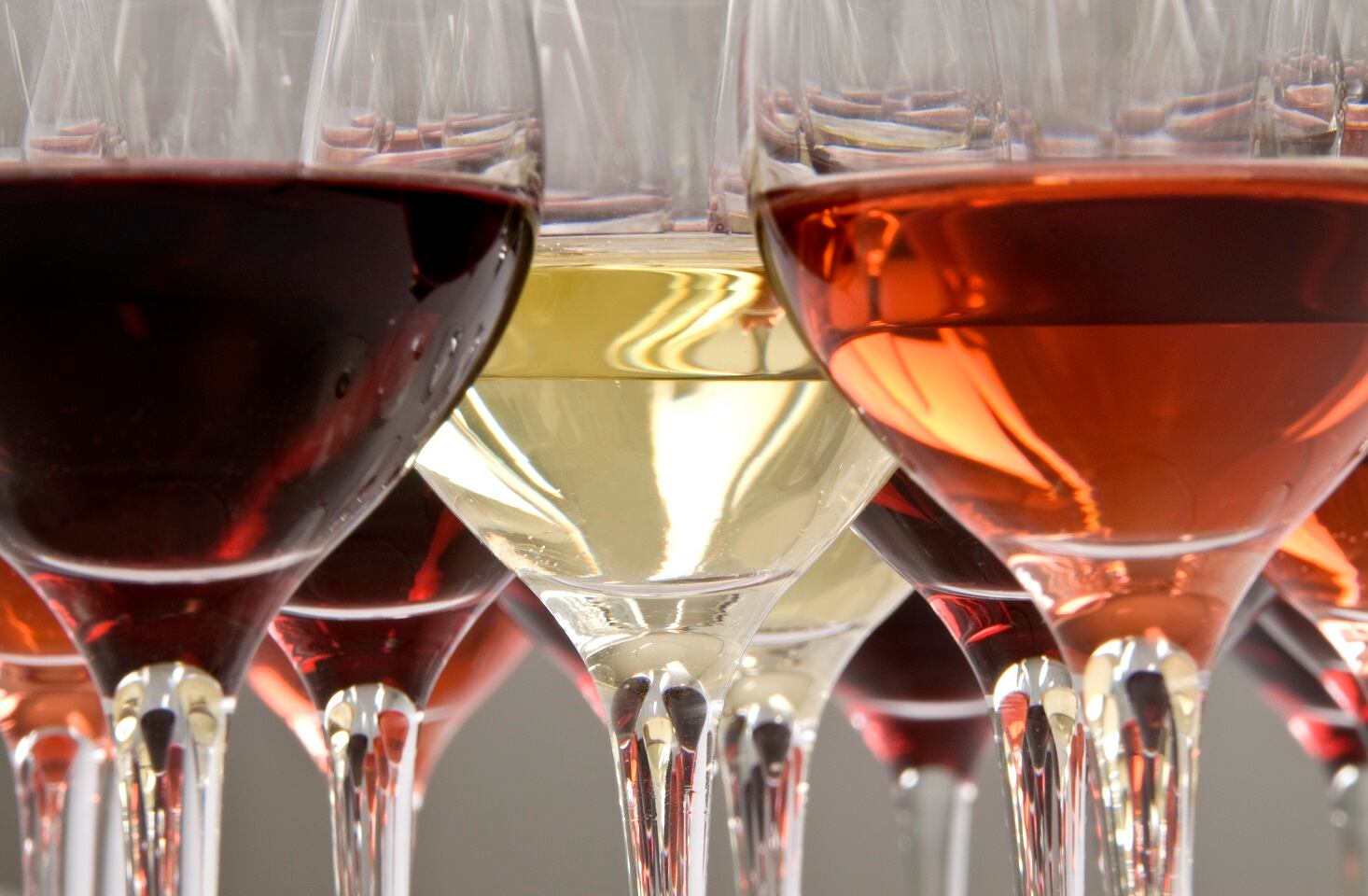 Bragato-Research-Institute-opens-New-Zealand-Research-Winery.jpg