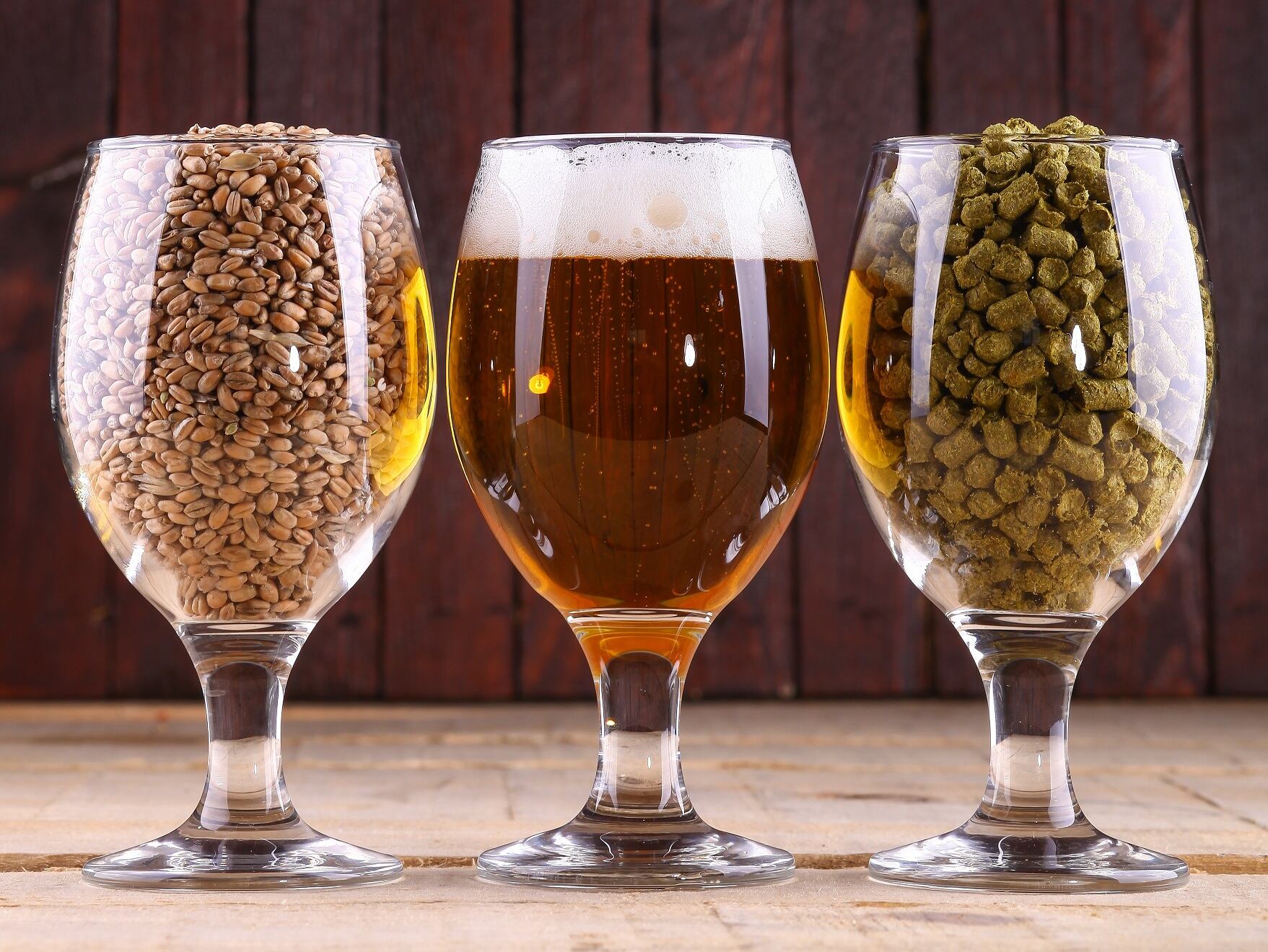 beer-hops-ingredients-credit-zmurciuk_k.jpg