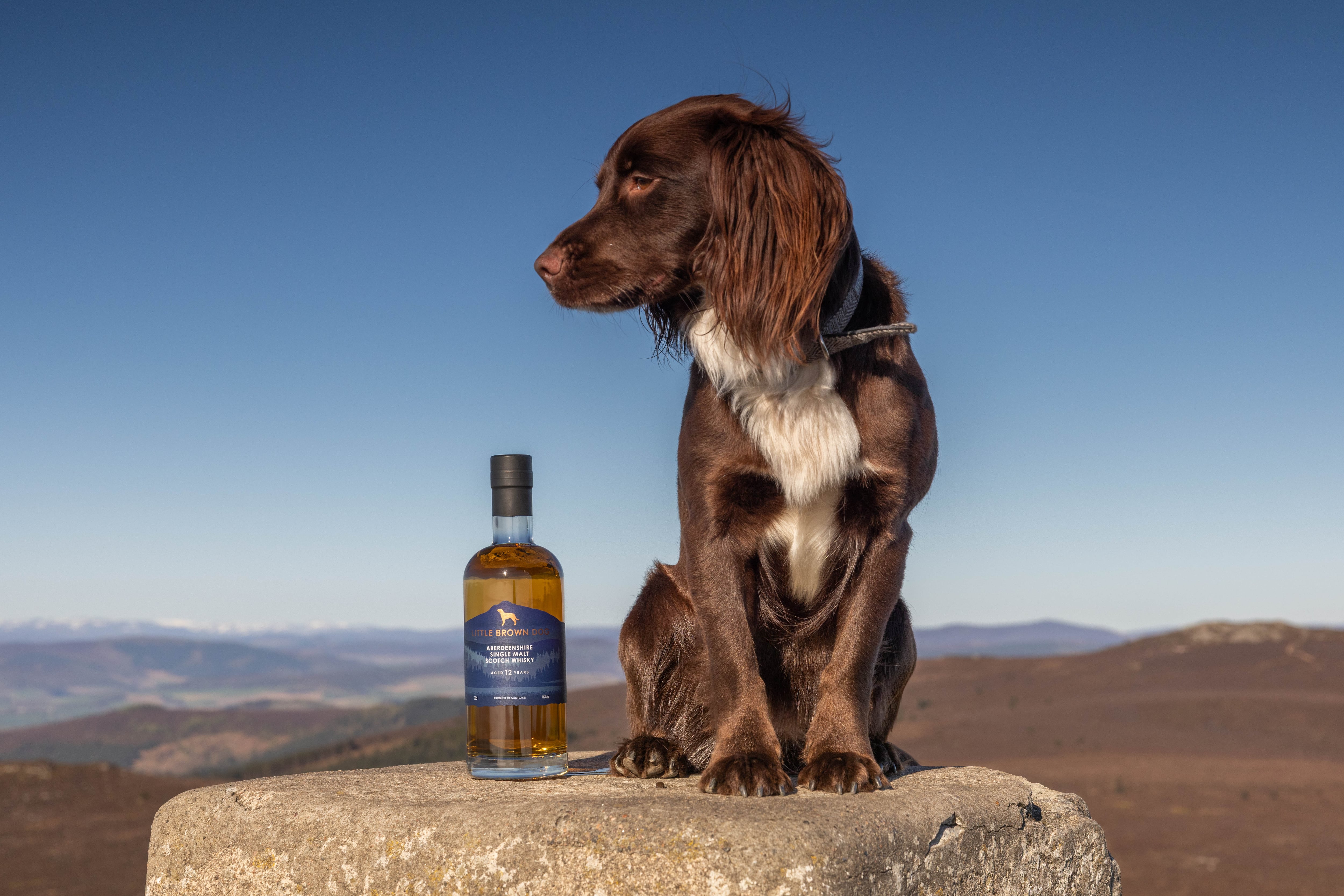 New beverage launches: Trip, Innocent, McGuigan and more…