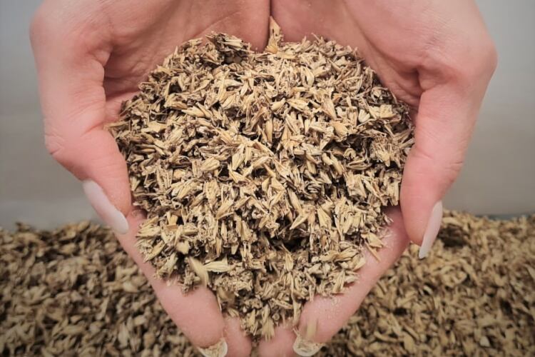 Embion ties-up with Asahi to up-cycle brewing by-products: ‘Our super-extracts offer a glimpse into the future’