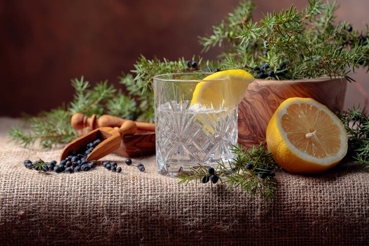 ‘Drinks with 1.2% ABV or under clearly do not satisfy the definition for gin’: Gin Guild