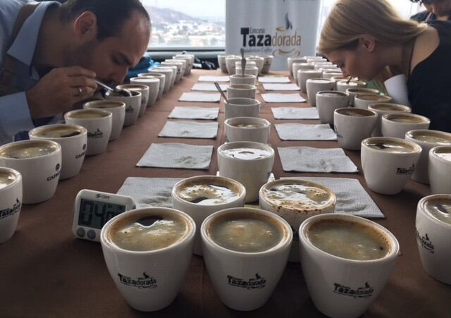 Sleeping speciality giant: Ecuador’s record coffee price smashed